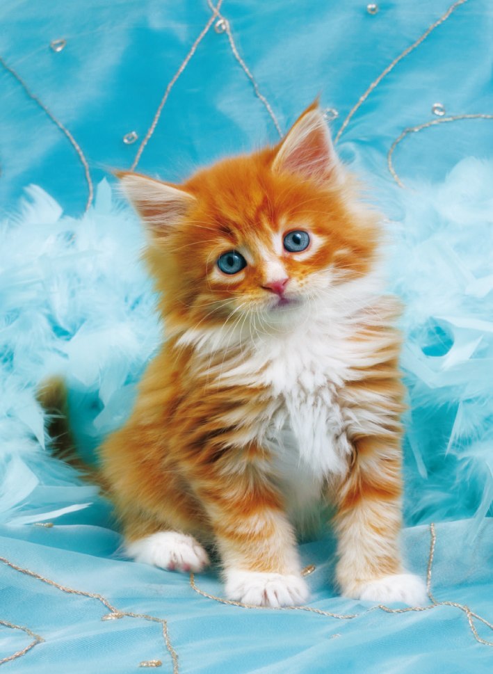 Fluffy Kitten - 500pc Jigsaw Puzzle by Clementoni