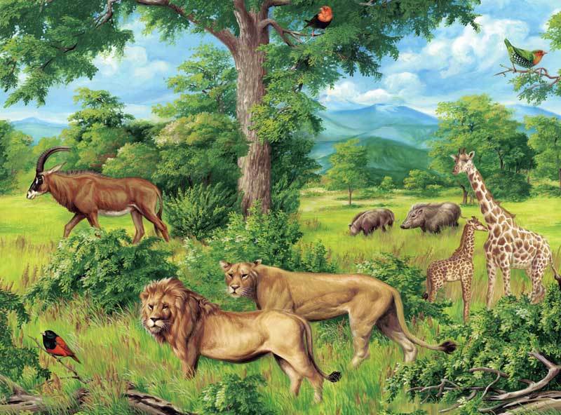 After The Rain - 1000pc Jigsaw Puzzle by Bits & Pieces
