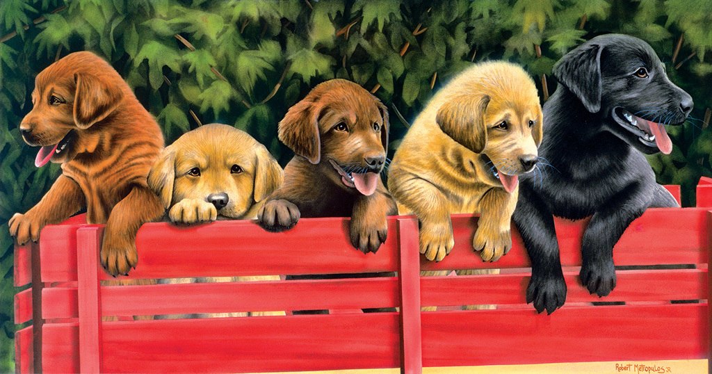All Aboard - 500pc Jigsaw Puzzle by SunsOut