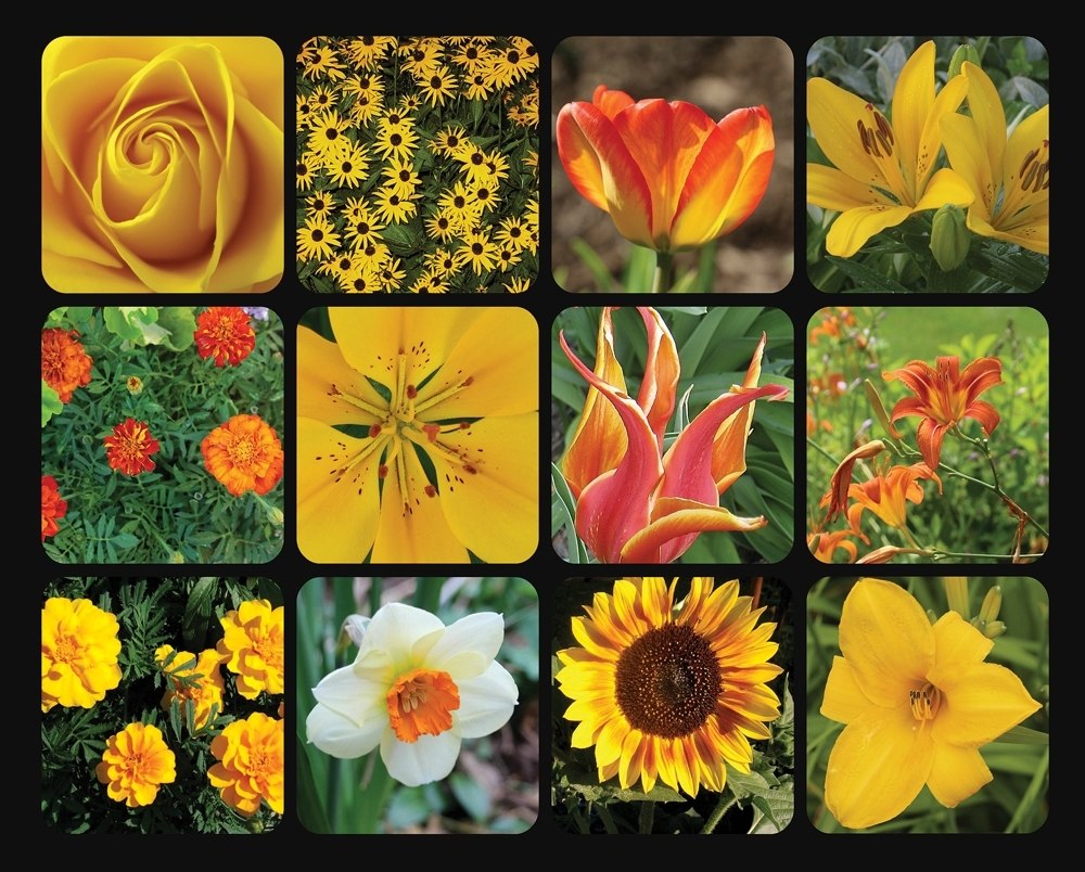Golden Blooms - 1000pc Jigsaw Puzzle by Springbok