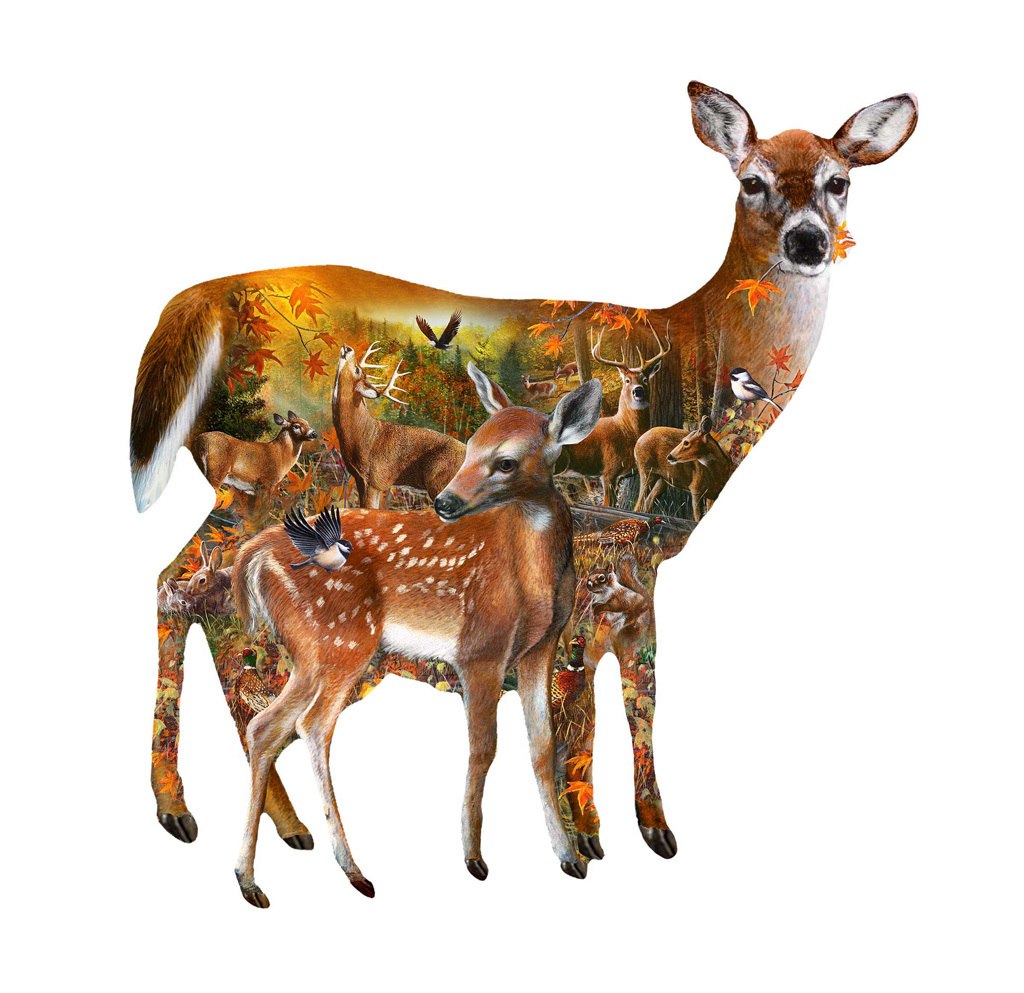 Forest Majesty - 1000pc Jigsaw Puzzle by SunsOut