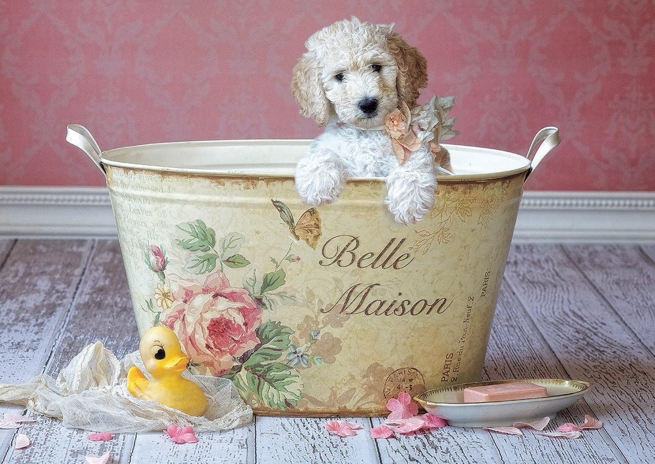 Belle Maison, Lisa Jane - 500pc Jigsaw Puzzle by Educa  			  					NEW