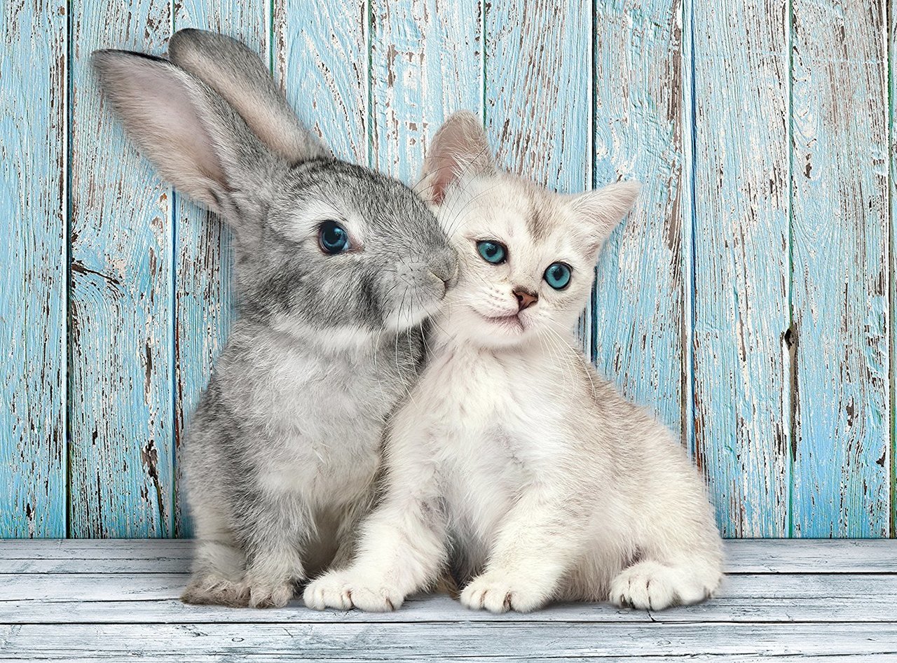 Cat & Bunny - 500pc Jigsaw Puzzle by Clementoni