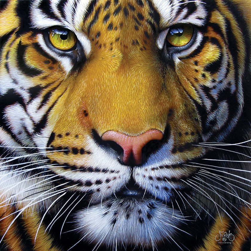 Golden Tiger Face - 1000pc Jigsaw Puzzle By Sunsout