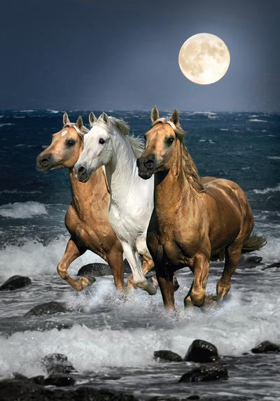 Running Horses - 1500pc Jigsaw Puzzle by Clementoni  			  					NEW