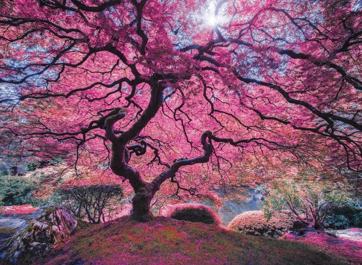 Pink Tree - 1000pc Jigsaw Puzzle by Anatolian