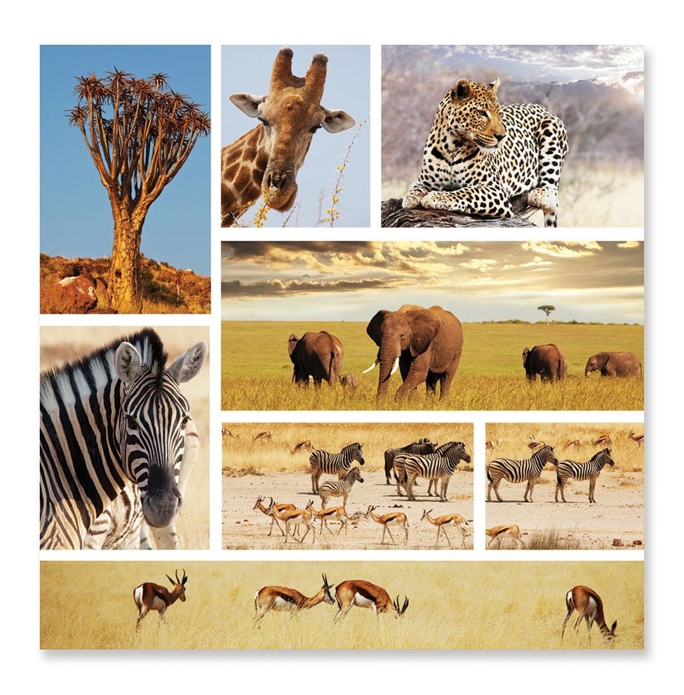 Safari Snapshots - 1000pc Jigsaw Puzzle by Melissa & Doug