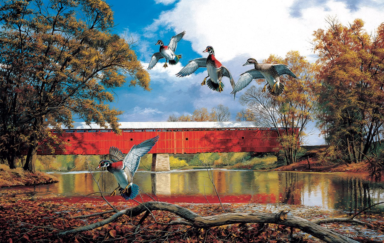 Eldin Bridge - 550pc Jigsaw Puzzle by Sunsout  			  					NEW