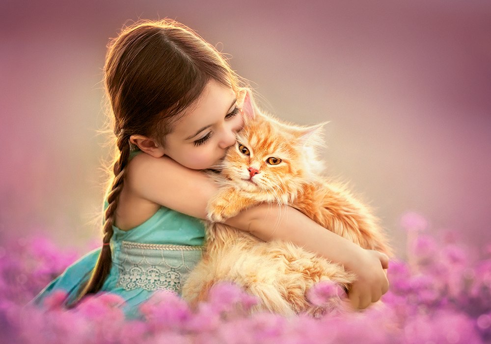 Pillowy Softness - 500pc Jigsaw Puzzle By Castorland