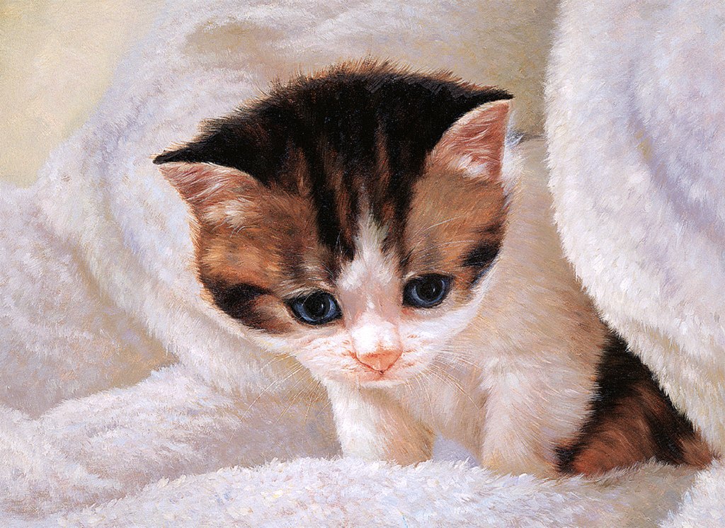Milky Face - 500pc Jigsaw Puzzle by Tomax