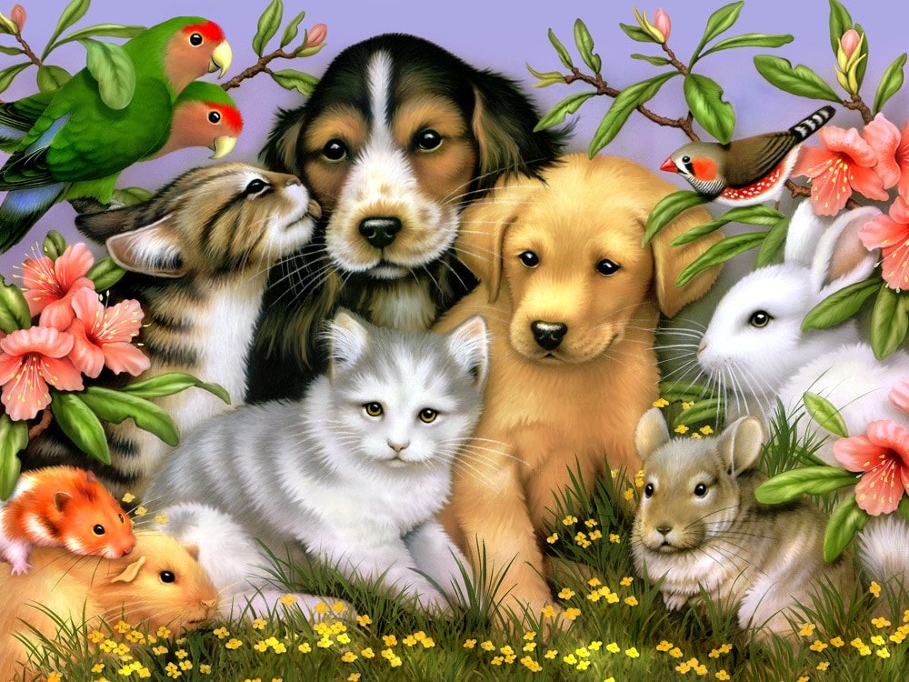 Loveable Pets - 550pc Jigsaw Puzzle by Vermont Christmas Company  			  					NEW