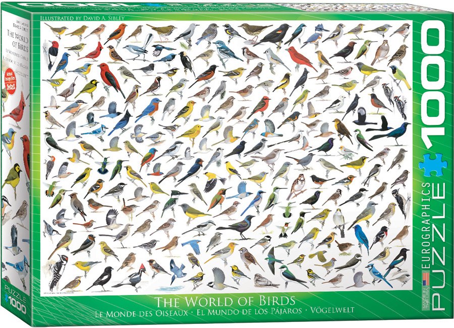 The World of Birds - 1000pc Jigsaw Puzzle by Eurographics