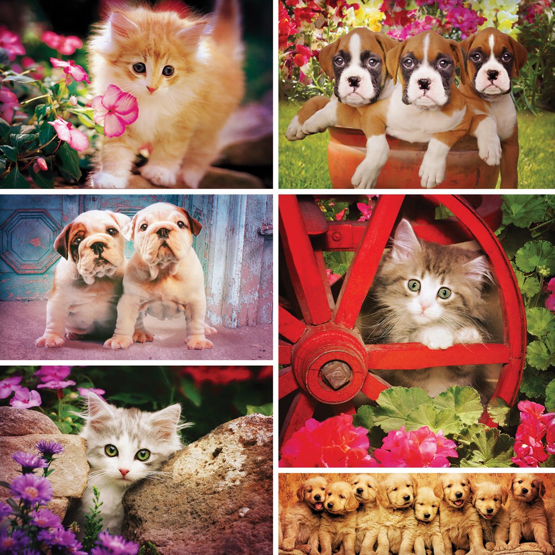 Instapaws: #FuzzyFriends - 500pc Square Jigsaw Puzzle by Masterpieces