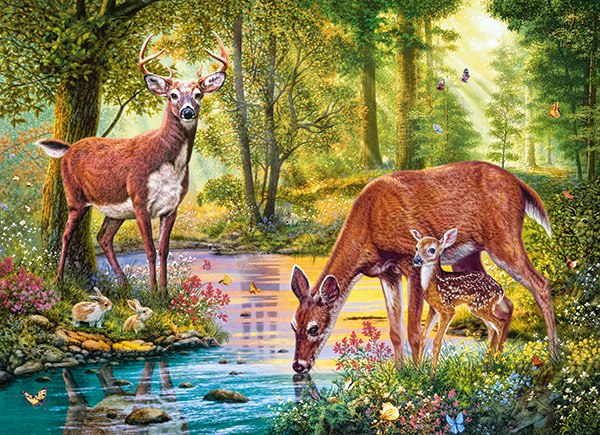 Woodland Stream - 300pc Jigsaw Puzzle By Castorland