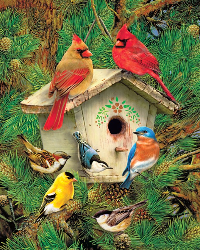 Feathered Retreat - 1000pc Jigsaw Puzzle by Springbok
