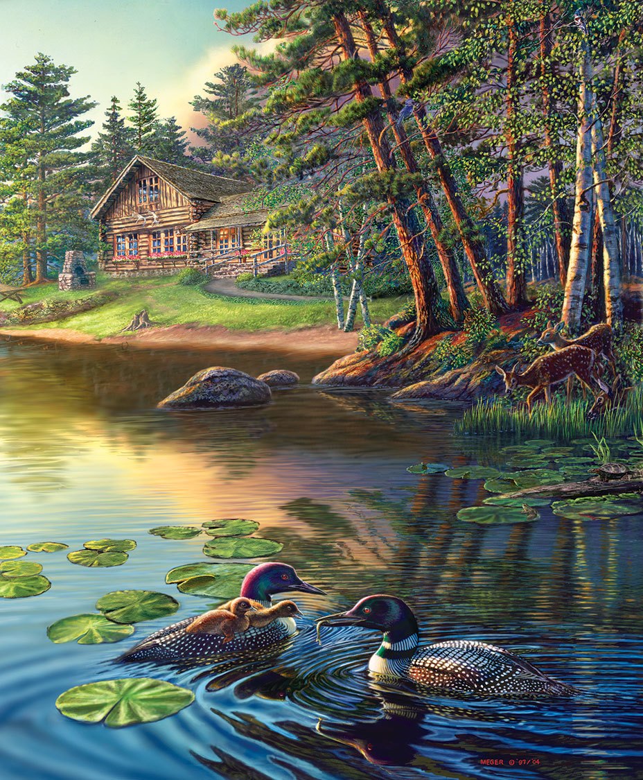 Gaviidae - 1000pc Jigsaw Puzzle by SunsOut