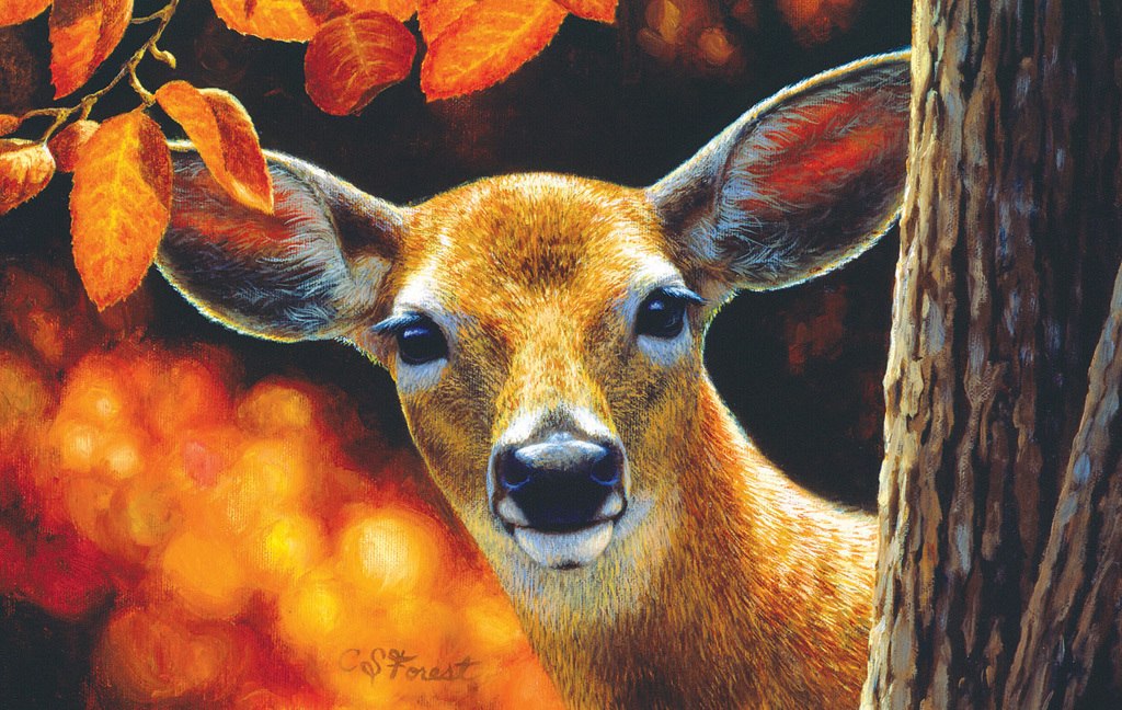 Surprise - 500pc Jigsaw Puzzle by SunsOut