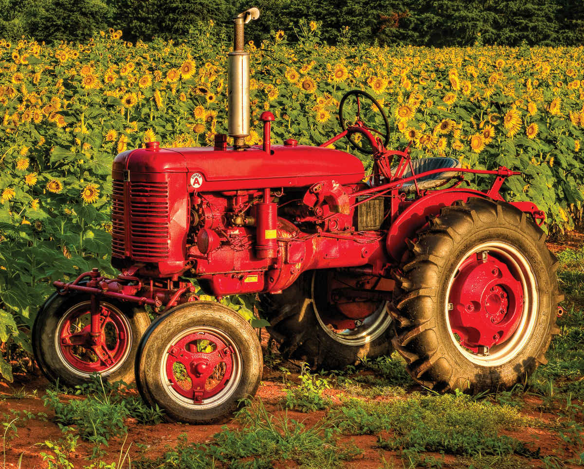 American Made - 1000pc Jigsaw Puzzle By Springbok
