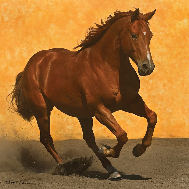 Adobe Run III - 1024pc Square Jigsaw Puzzle by Anatolian