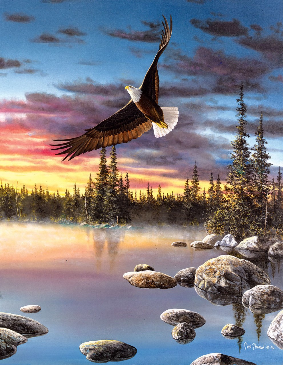 Sky Dancer - 1000+pc Large Format Jigsaw Puzzle by Sunsout
