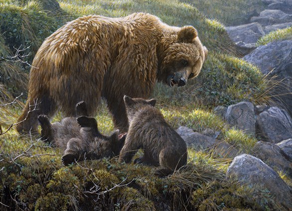 Grizzly and Cubs - 400pc Family Style Jigsaw Puzzle By Cobble Hill