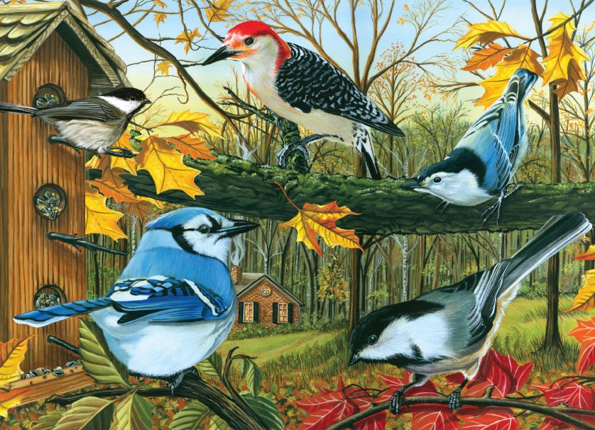 Backyard Feeder - 1000pc Jigsaw Puzzle By Jack Pine