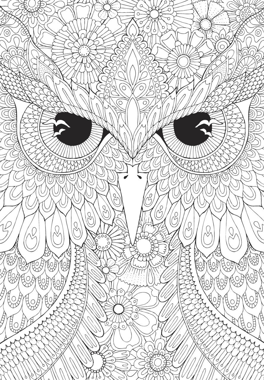Night Owls  - 500pc Jigsaw Puzzle by Anatolian