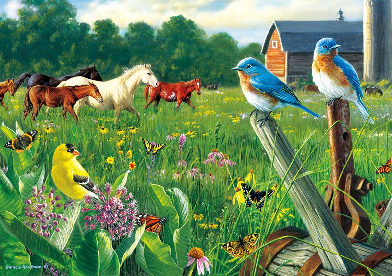 Hautman Brothers: Country Meadow - 300pc Jigsaw Puzzle by Buffalo Games