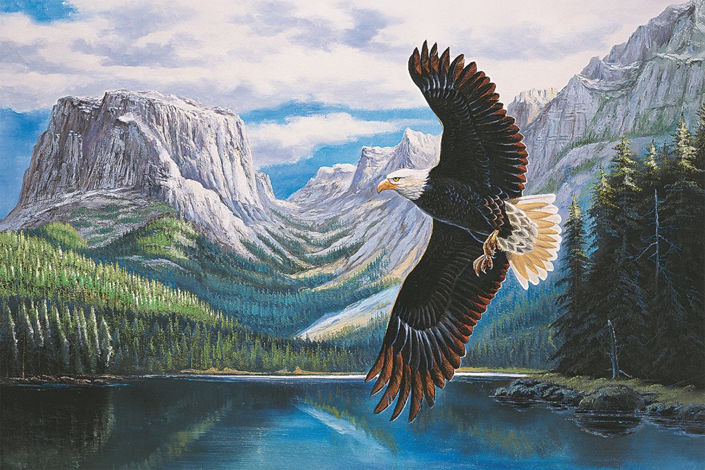 Searching - 1500pc Jigsaw Puzzle by Tomax