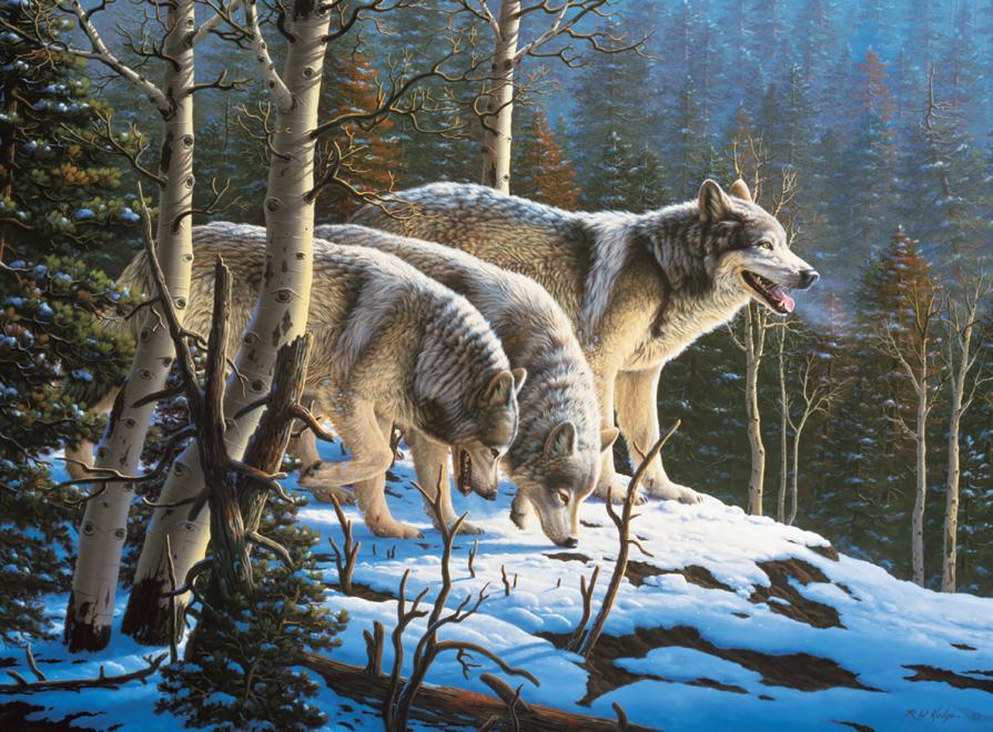 Wolves: Wildlife - 1000pc Jigsaw Puzzle by Ceaco