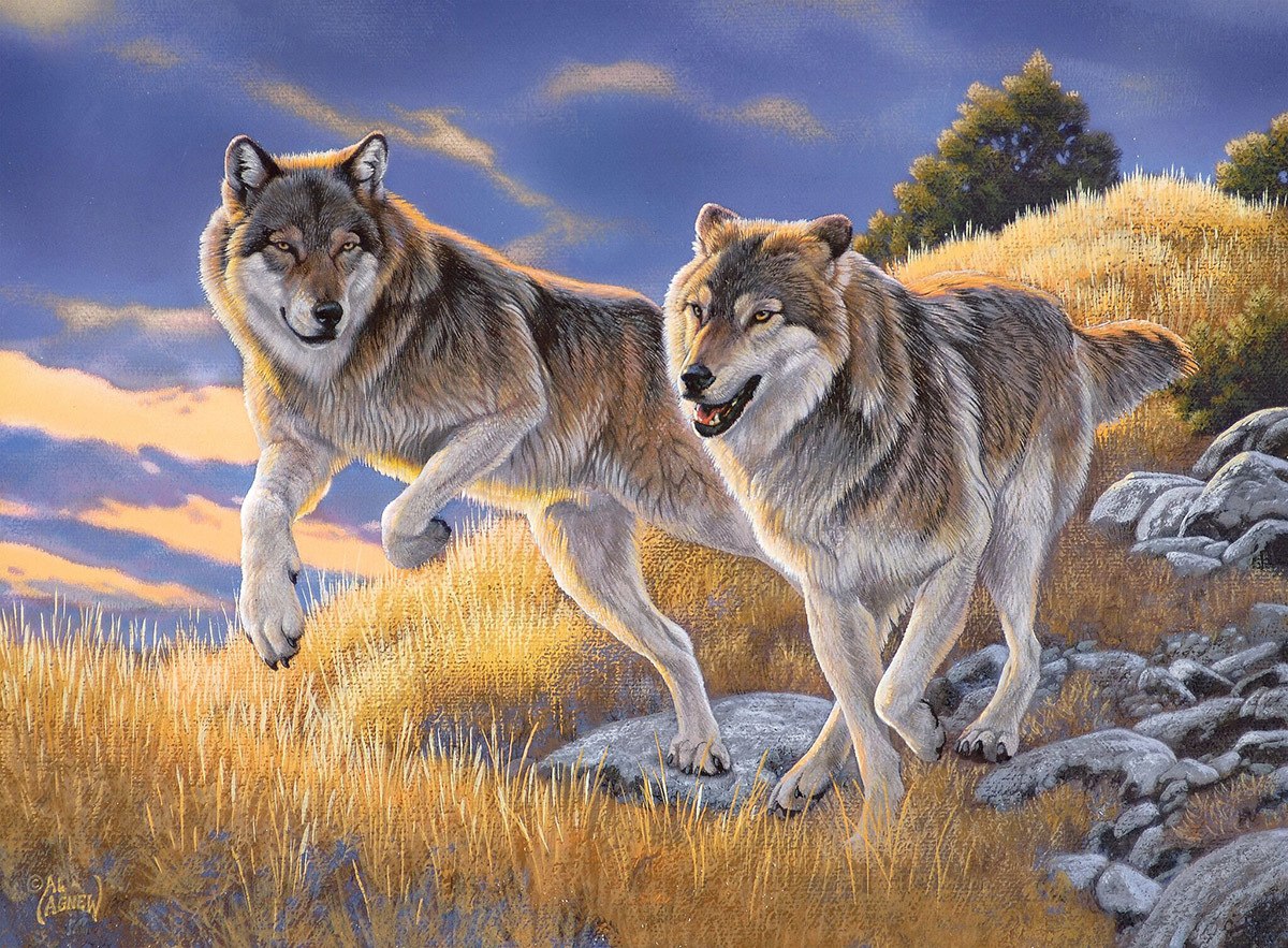 The Wolves - 500pc Jigsaw Puzzle by Clementoni