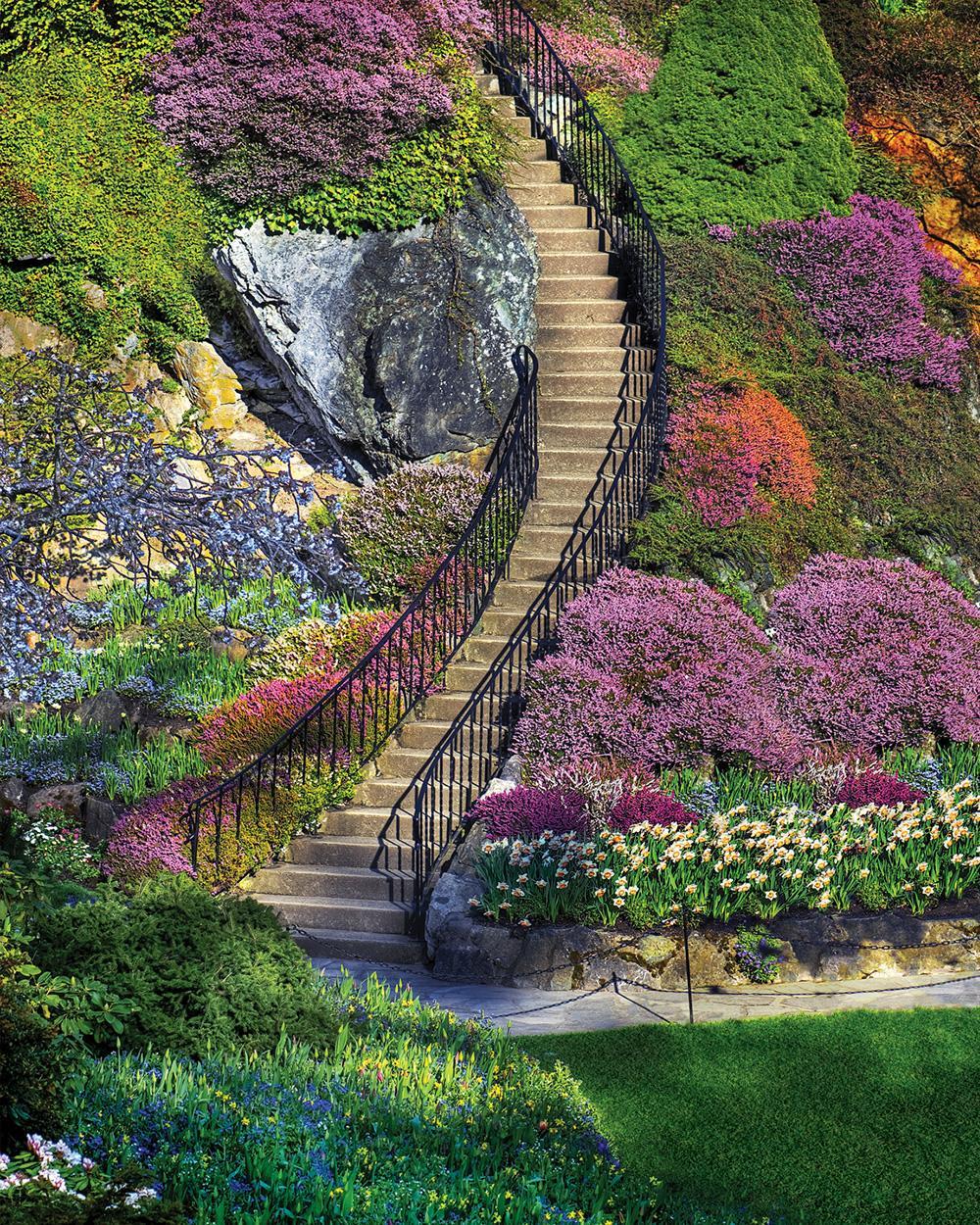 Garden Stairway - 500pc Jigsaw Puzzle by Springbok