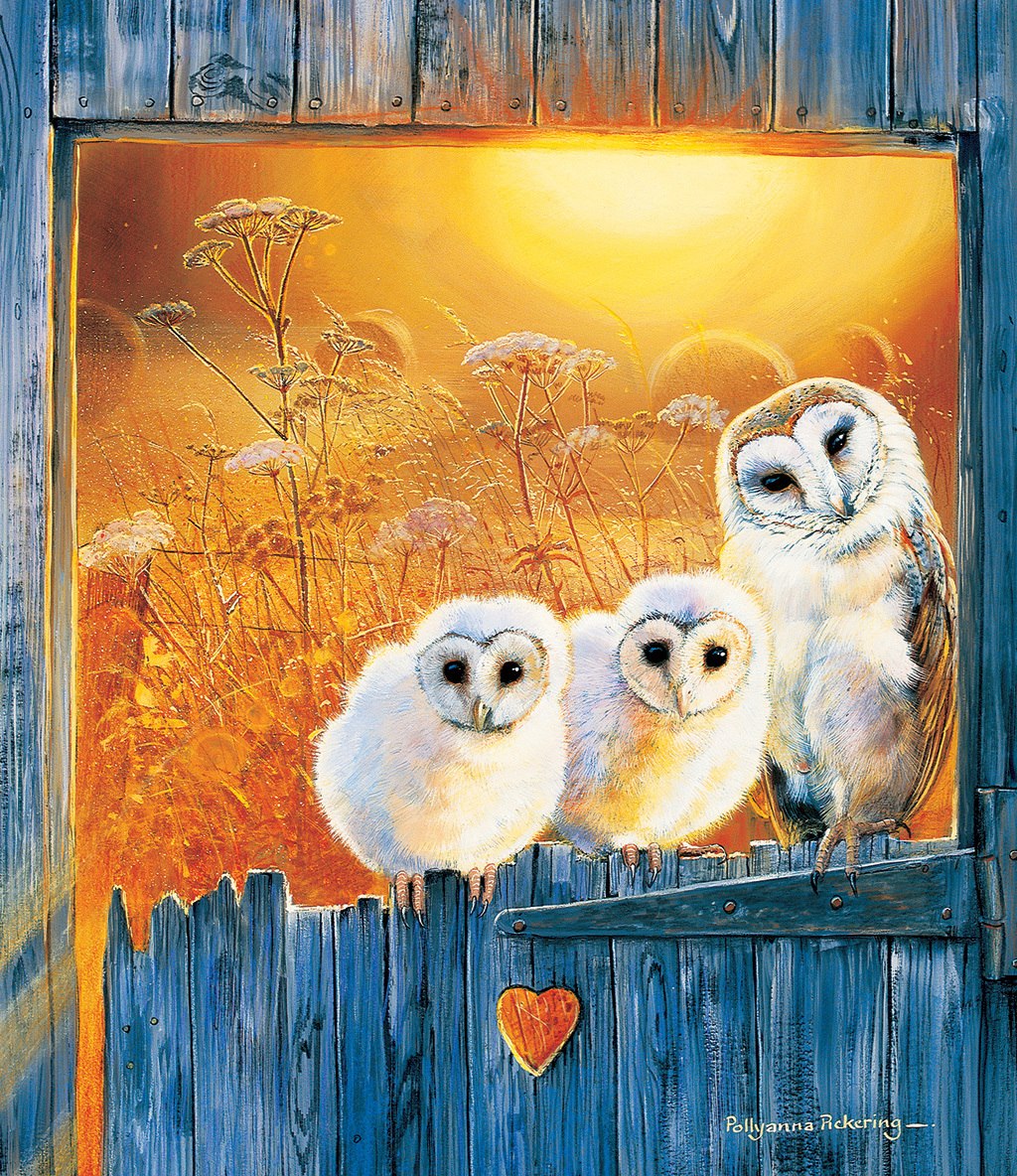 Owls in the Window - 550pc Jigsaw Puzzle by SunsOut
