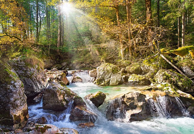 The Forest Stream - 2000pc By Castorland