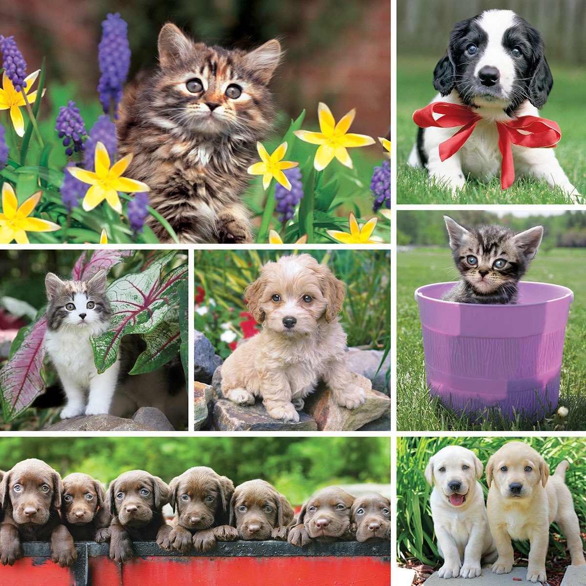 Instapaws: #TinyExplorers - 500pc Jigsaw Puzzle by Masterpieces  			  					NEW