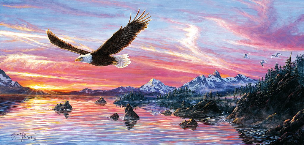 Silent Wings of Freedom - 1000pc Jigsaw Puzzle by Sunsout