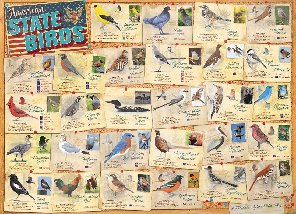 State Birds - 1000pc Jigsaw Puzzle by Eurographics  			  					NEW