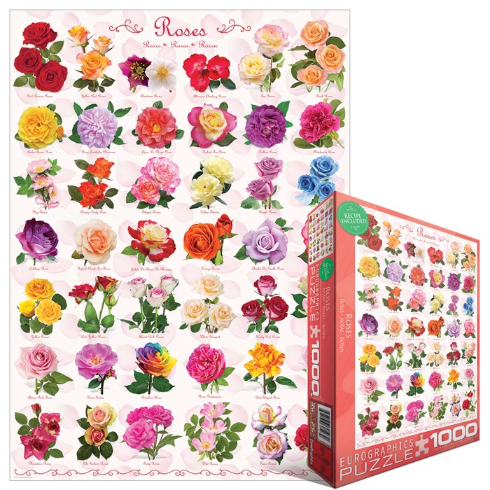 Roses - 1000pc Jigsaw Puzzle by Eurographics