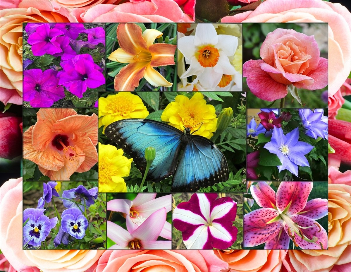 In Bloom - 500pc Jigsaw Puzzle By Springbok  			  					NEW
