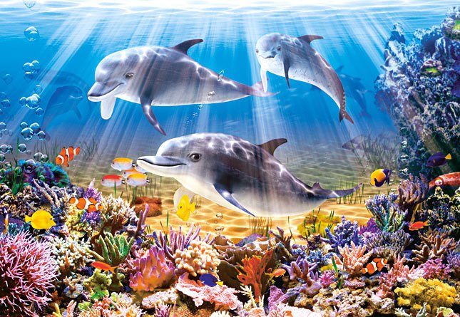 Dolphins Underwater - 500pc Jigsaw Puzzle by Castorland