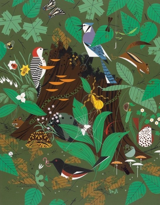 Harper: Woodland Wonders - 1000pc Jigsaw Puzzle by Pomegranate  			  					NEW