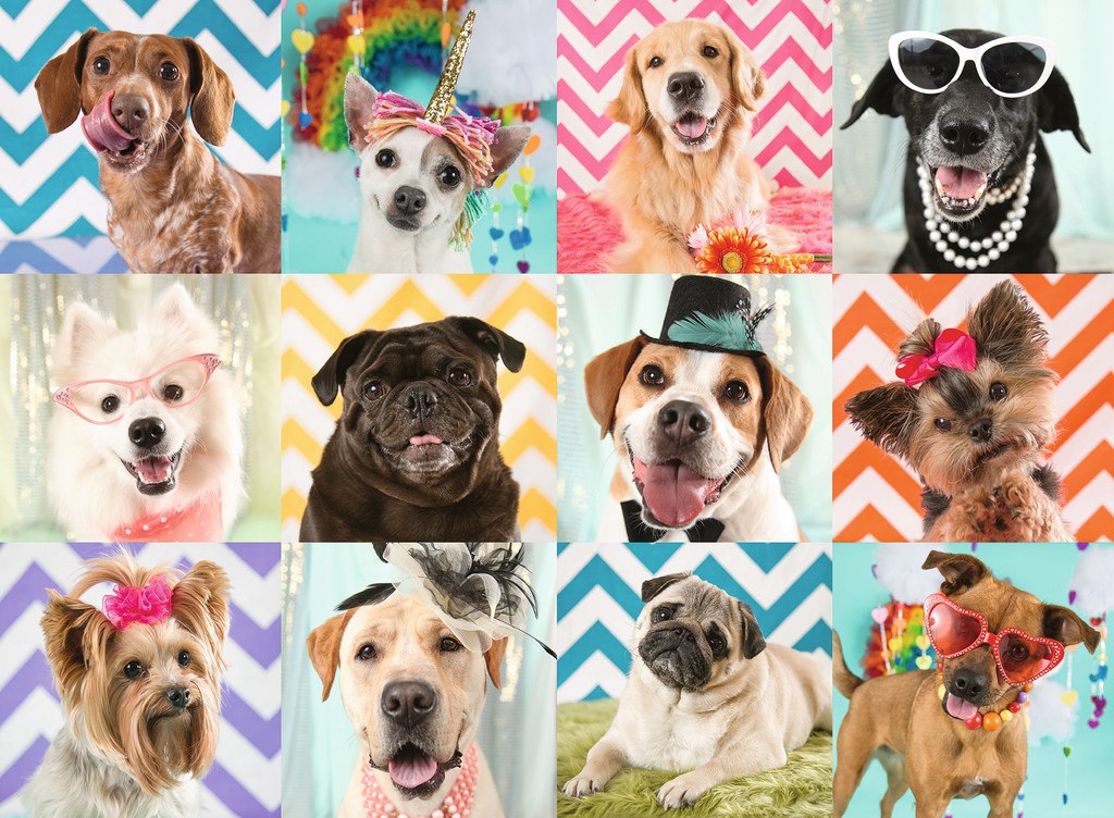 Doggy Disguise - 100pc Jigsaw Puzzle by Ravensburger  			  					NEW