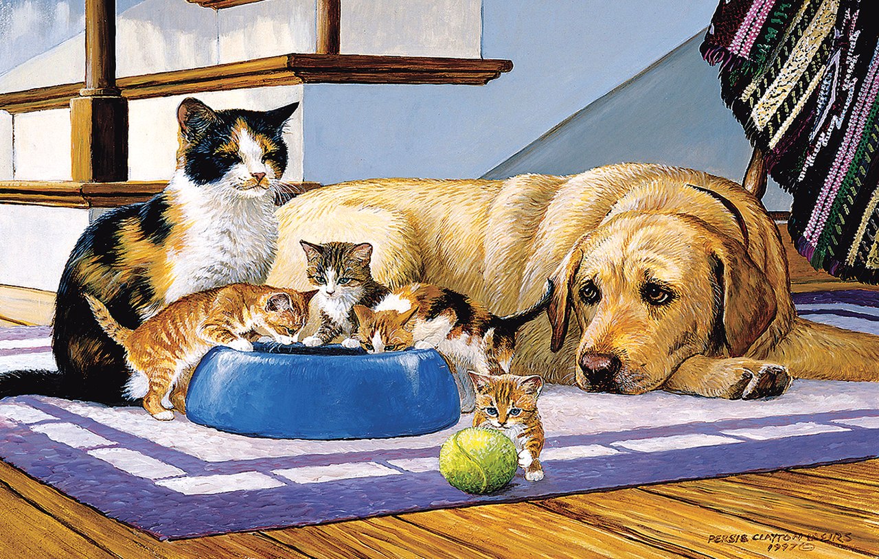 What's a Dog to Do? - 100pc Jigsaw Puzzle By Sunsout  			  					NEW