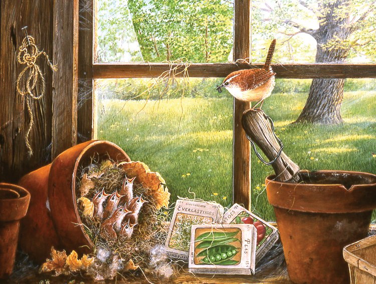 Garden Shed Seedlings - 500pc Jigsaw Puzzle By Sunsout