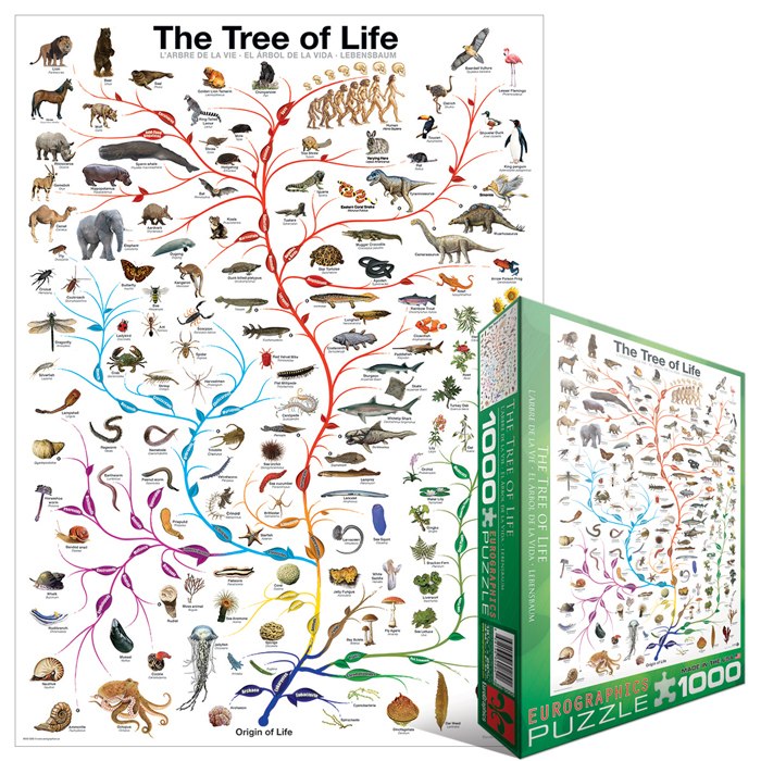 The Tree of Life - 1000pc Jigsaw Puzzle by Eurographics