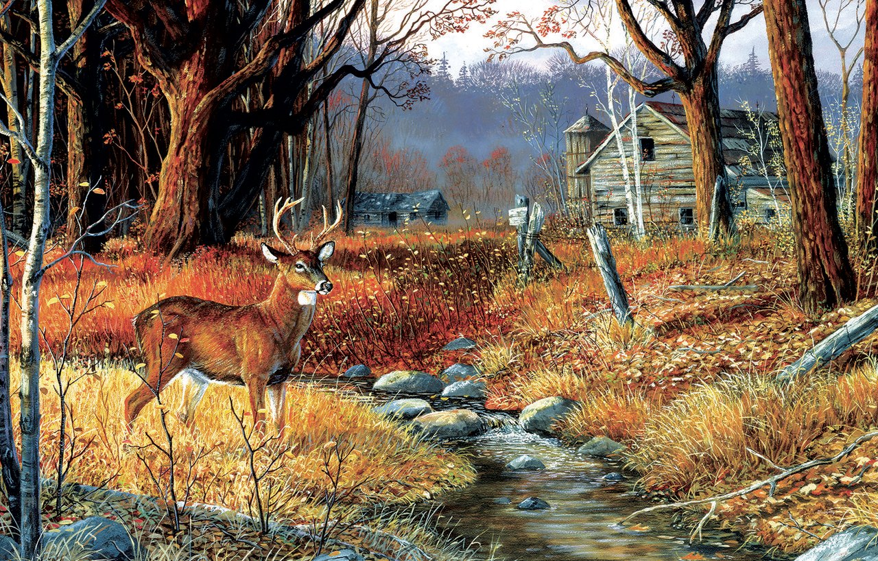 Forgotten Valley - 1000pc Jigsaw Puzzle by Sunsout  			  					NEW