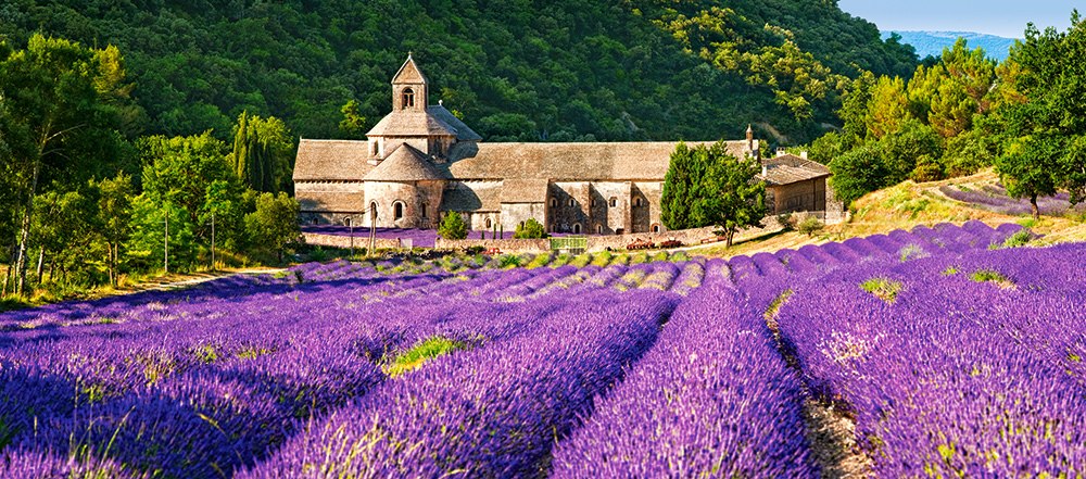 Notre Dame de Senanque, France - 600pc Jigsaw Puzzle By Castorland  			  					NEW