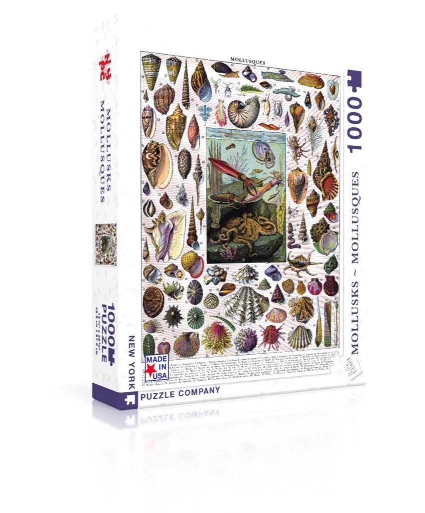 Mollusks - 1000pc Jigsaw Puzzle by New York Puzzle Company  			  					NEW