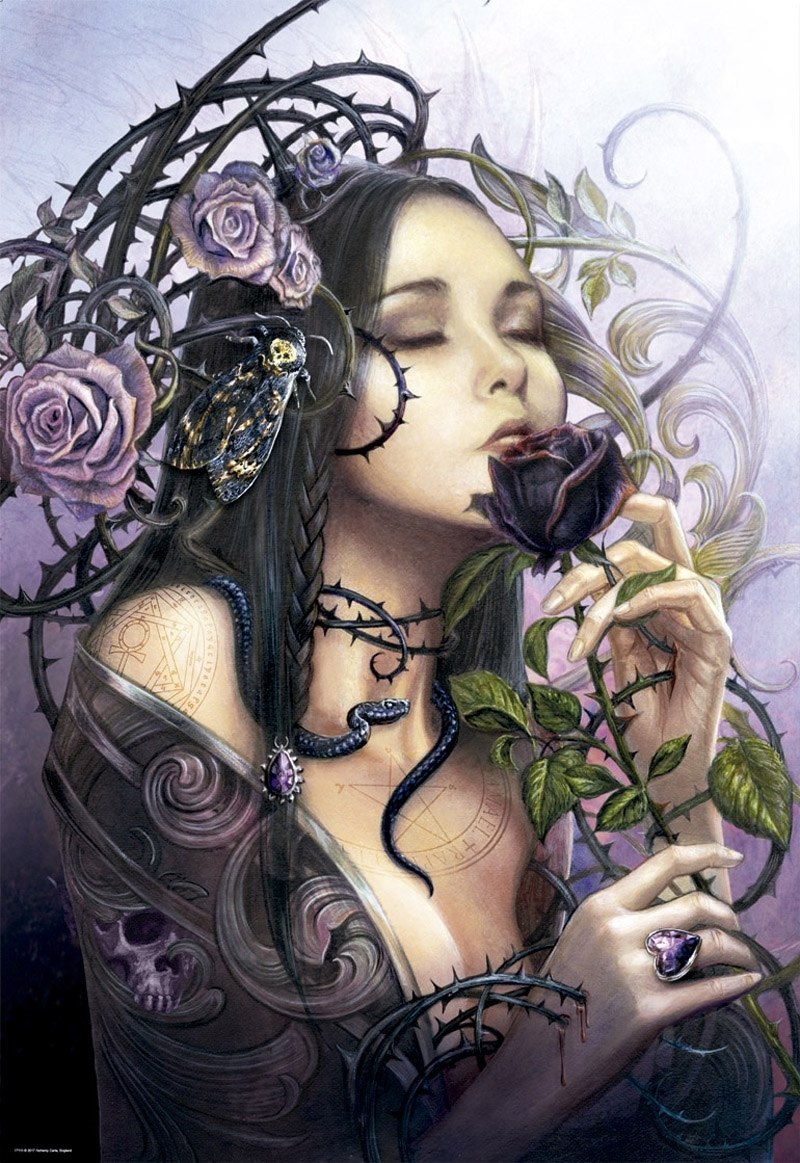 The Midnight Rose - 1000pc Jigsaw Puzzle By Educa