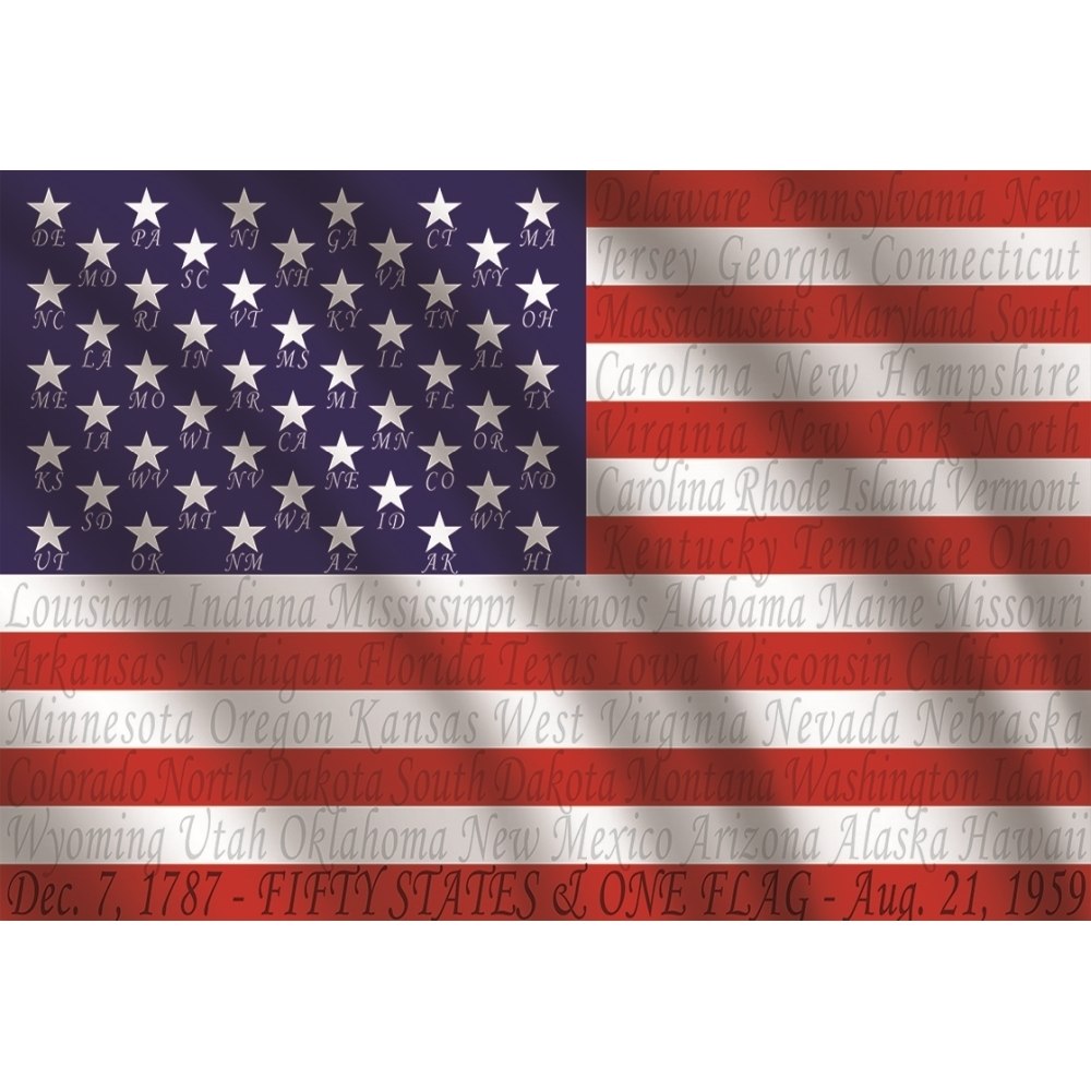 Fifty States & One Flag - 1000pc Jigsaw Puzzle by Educa - image 1